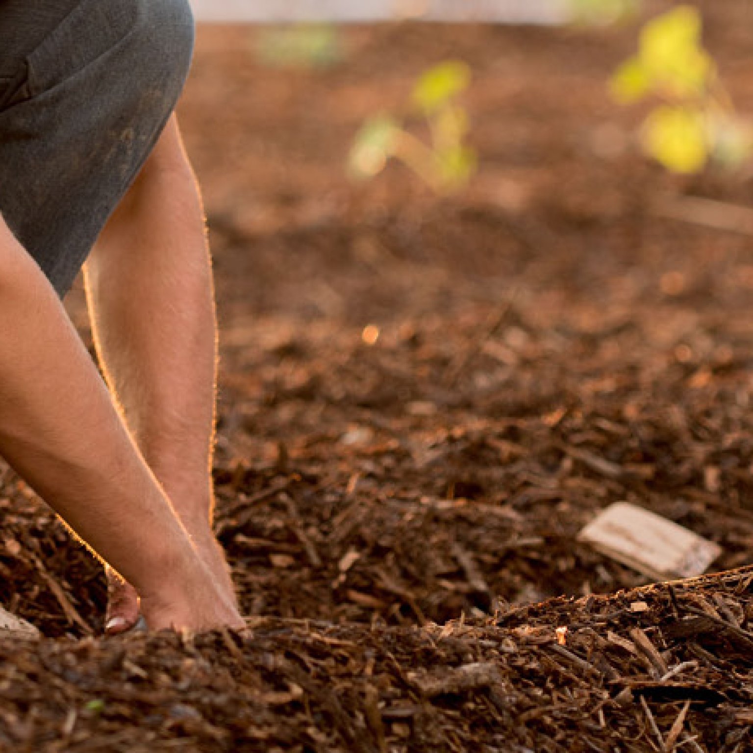 Agriculture Career Fair - Whatcom Family Farmers