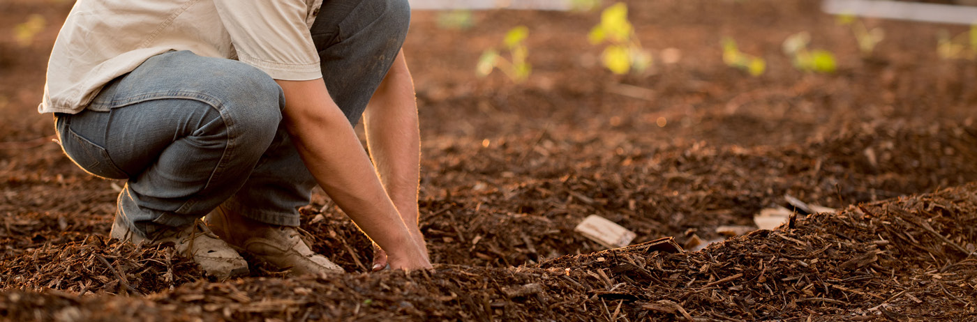 Agriculture Career Fair - Whatcom Family Farmers