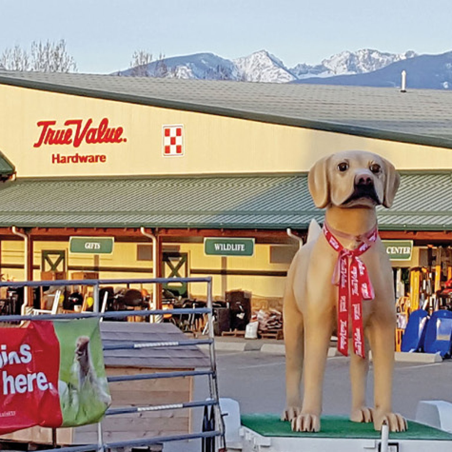 Petapalooza - West Side